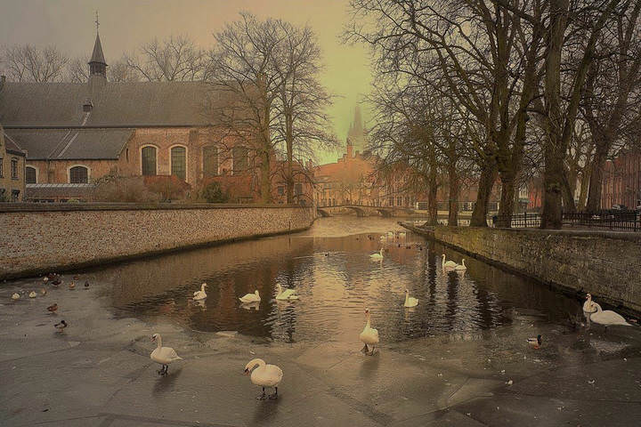 A winter morning in Bruges.