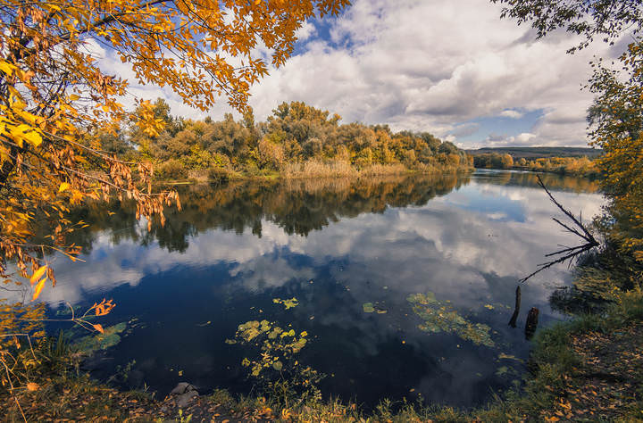 Фишайная осень