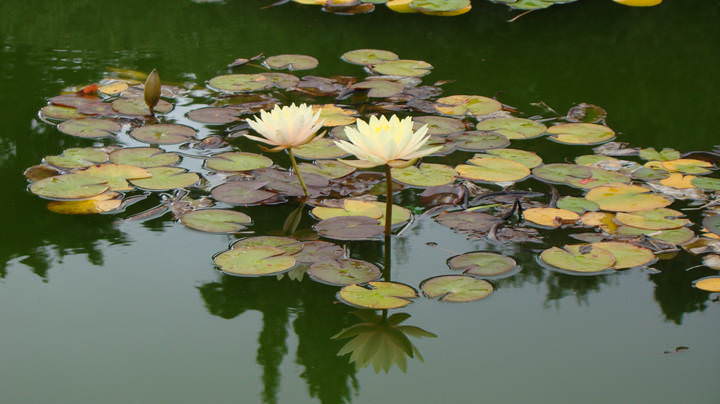 DSC01505