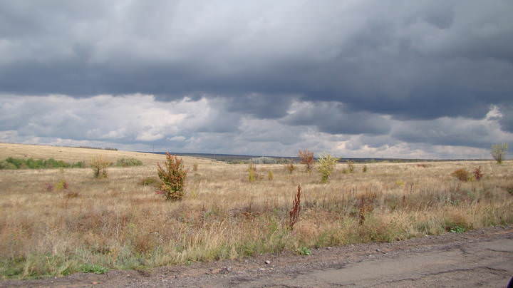 DSC01514