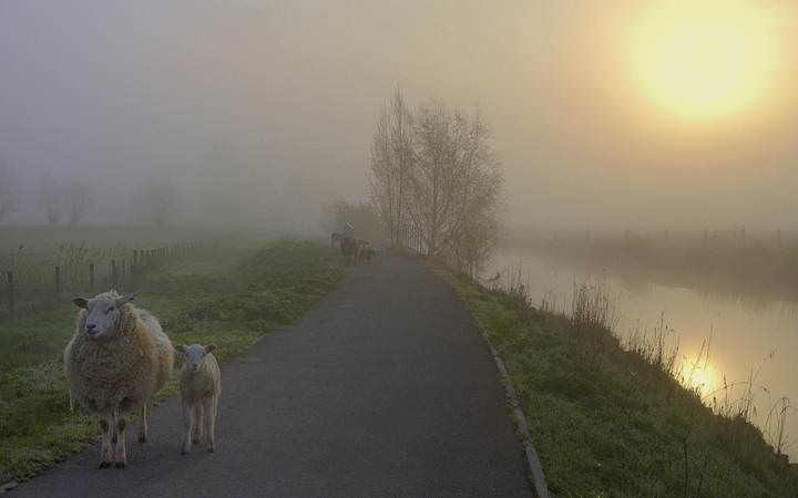 Sunrise on the Fintele.