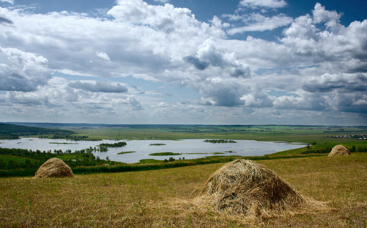 Время покоса