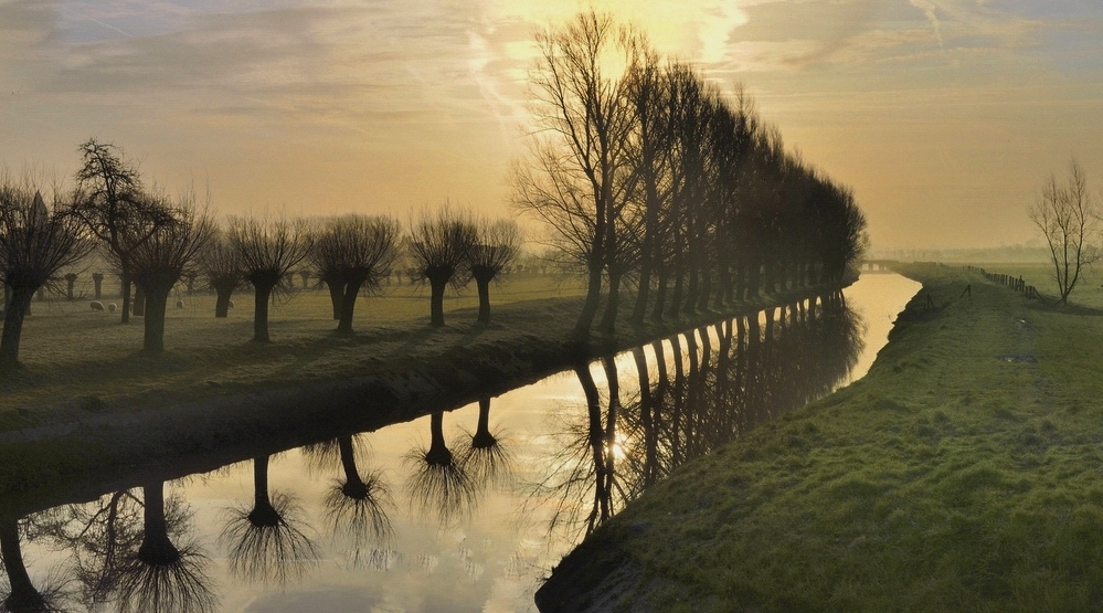 The village Werken in the morning light.