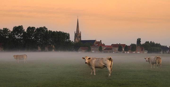 Stuivekenskerke early in the morning.