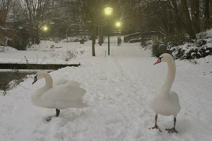 A winter evening in Diksmuide.