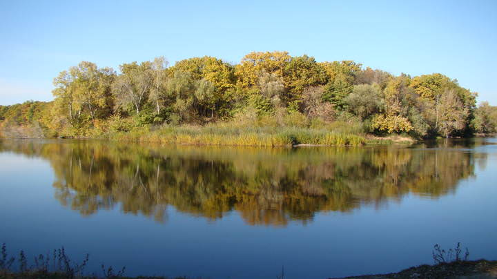 DSC00004