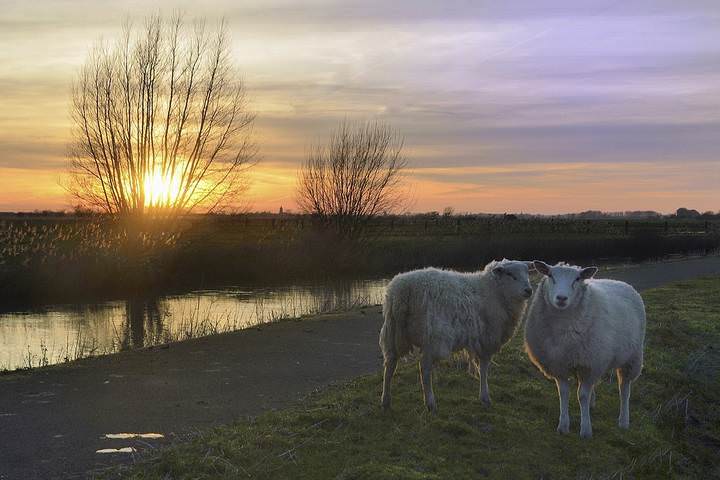 A romantic morning.
