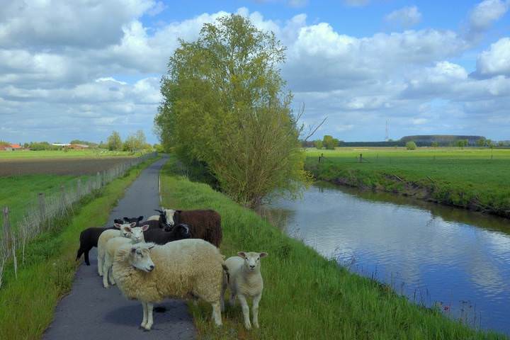 A spring morning in Stavele.