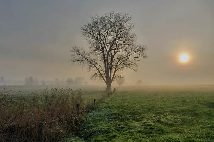 This morning.