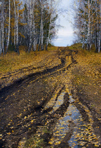 Осенняя пора