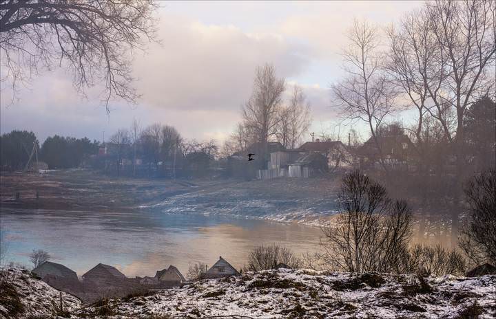 утки 