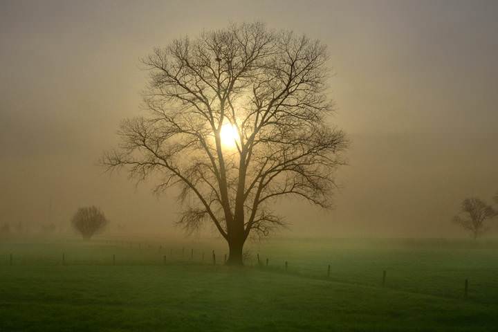 This morning in my region.