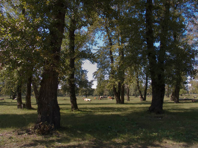 Мирное время.