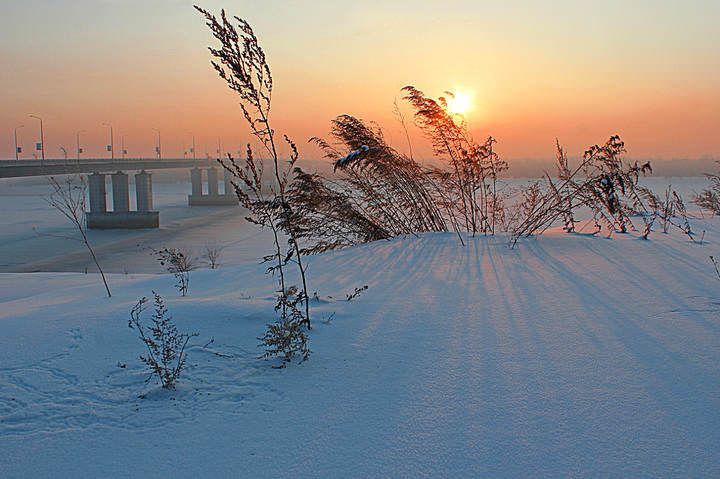 Морозное утро