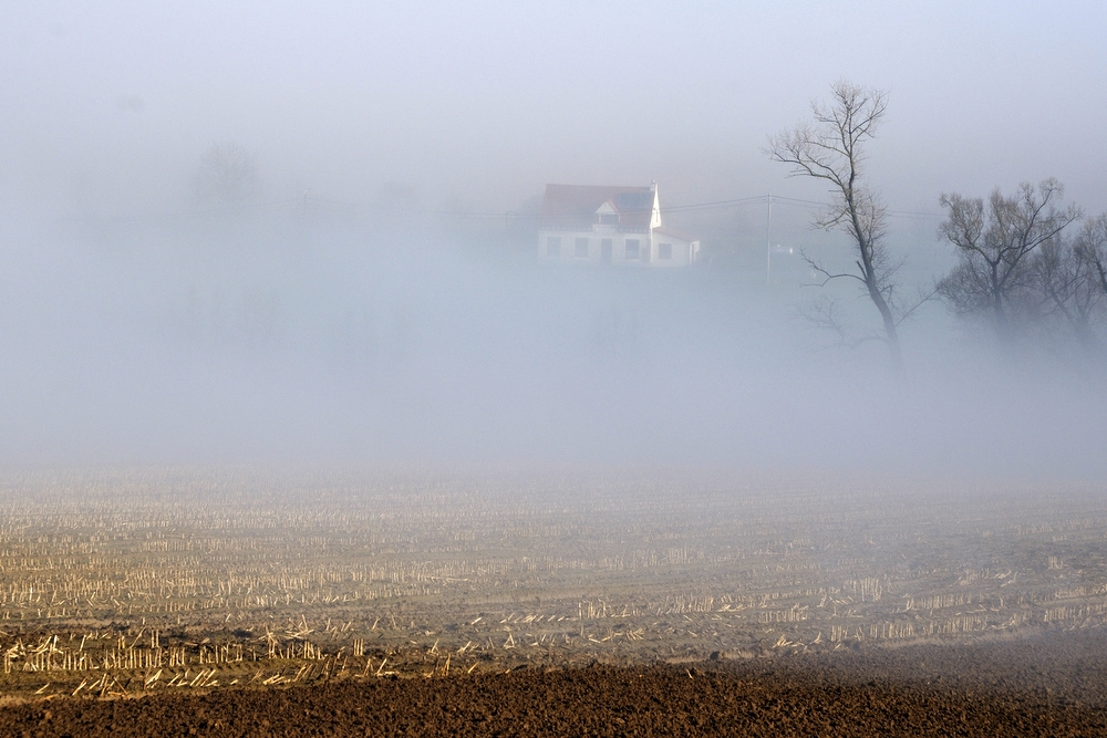 A foggy morning in Westouter.