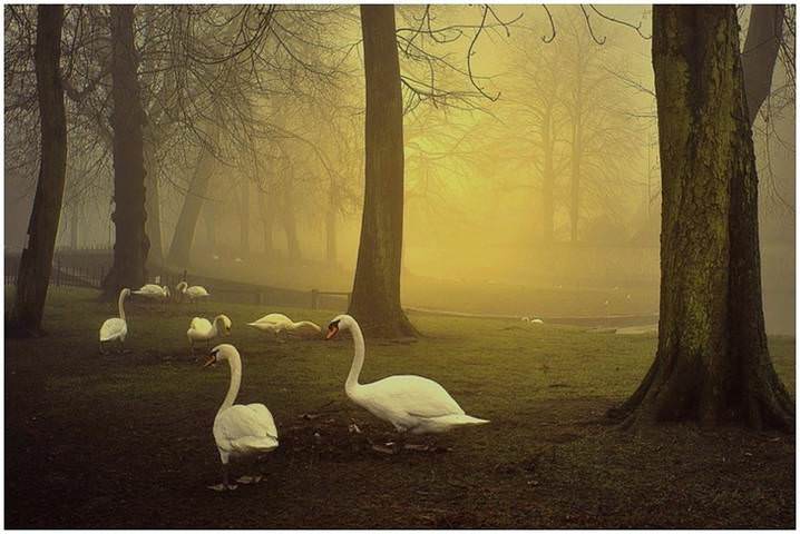 Morning in Bruges.