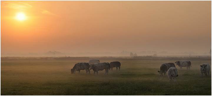 Morning in Esen.
