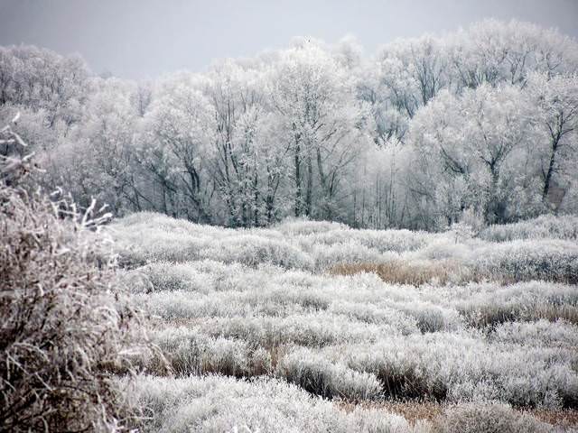 Зимние зарисовки