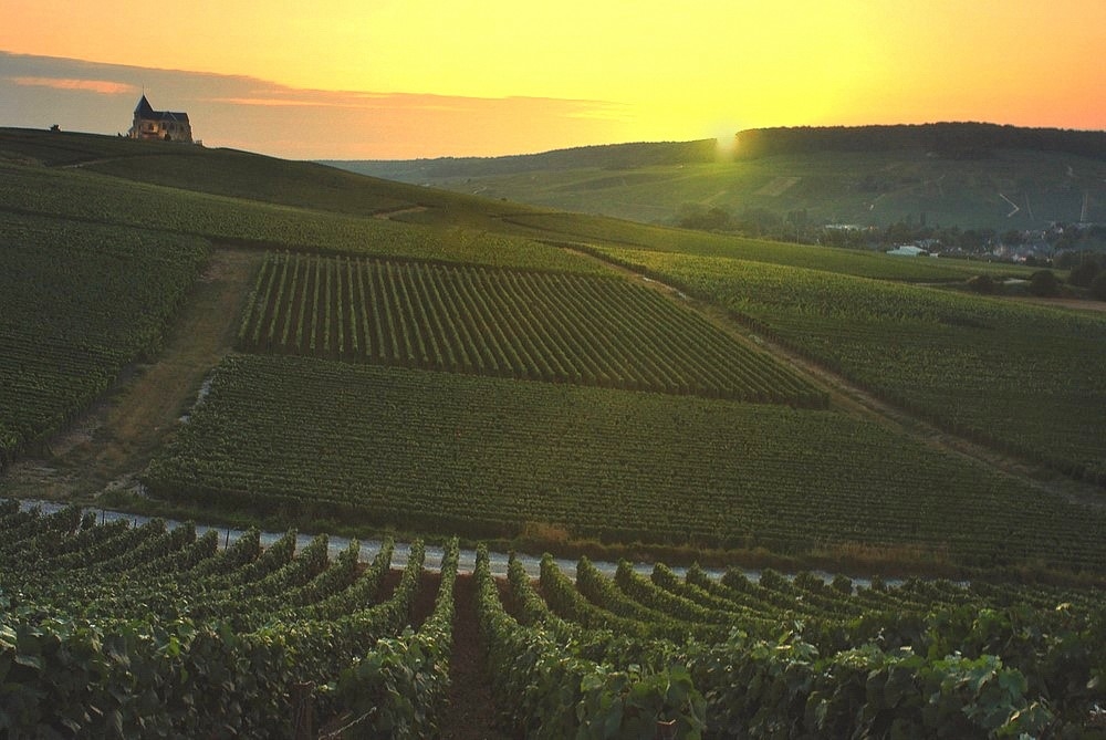 Sunset in the champagne region.