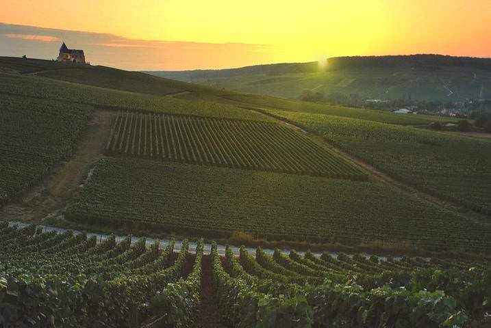 Sunset in the champagne region.
