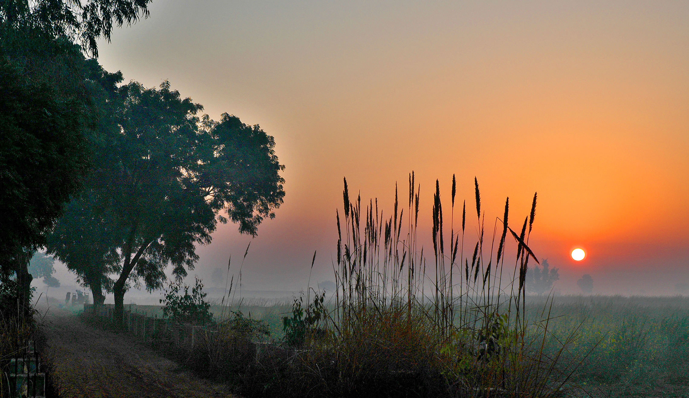 Утро в индийской деревне