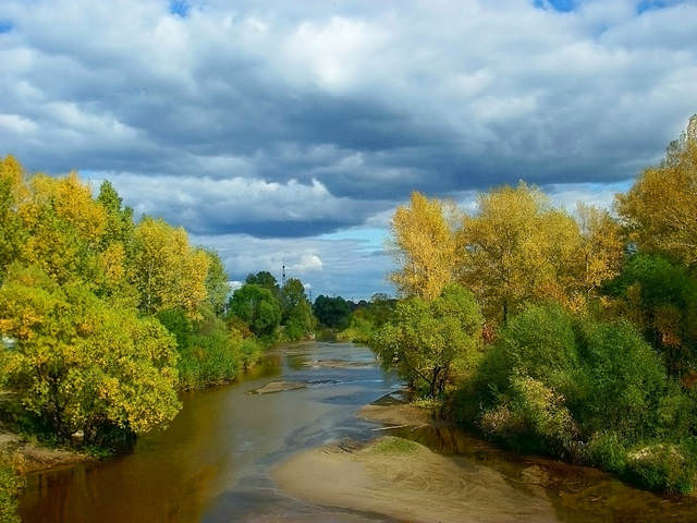 Городская лужица