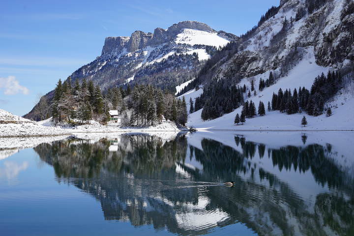 Seealpsee - 1