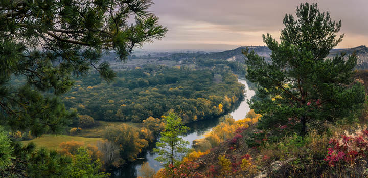 Донецкая осень