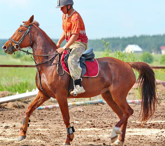  Наездник