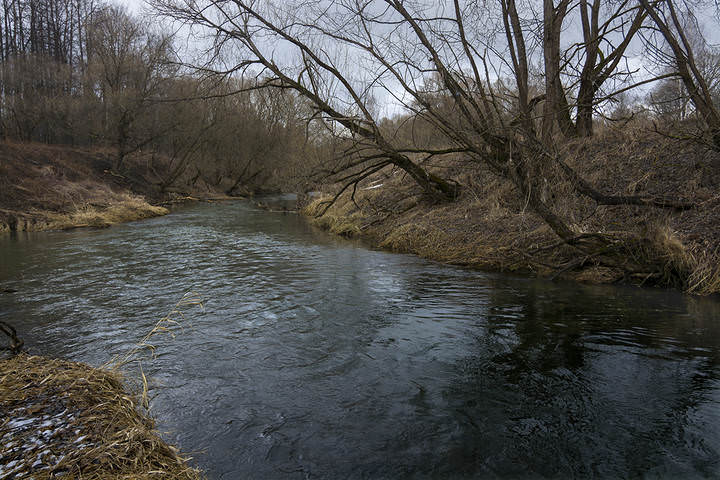 Хмурая весна