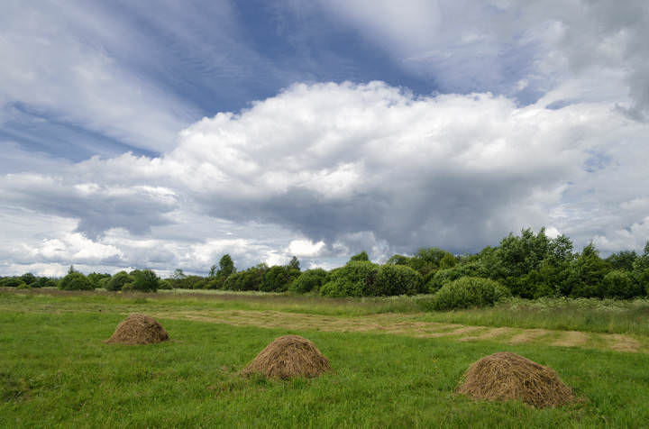 В середине лета