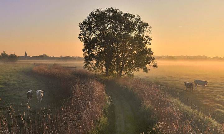 A morning in Vladslo.