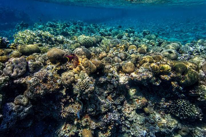 Пейзажи Красного моря