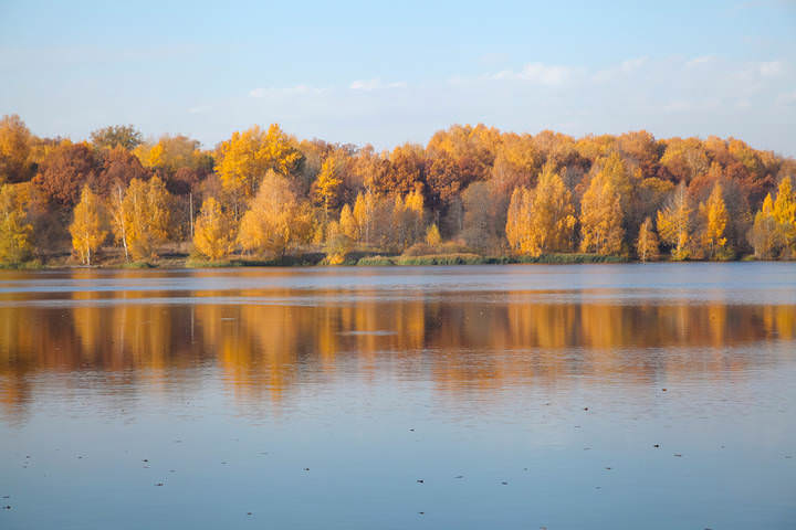 Осеннее утро на озере.