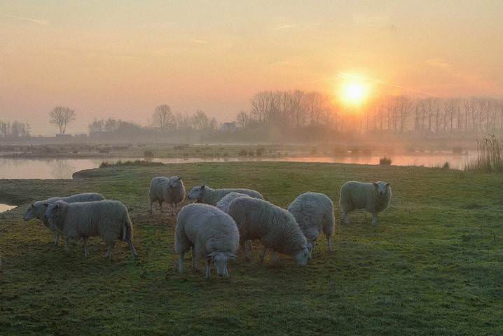 The sunrise this morning.