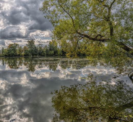 Осенью первоначальной