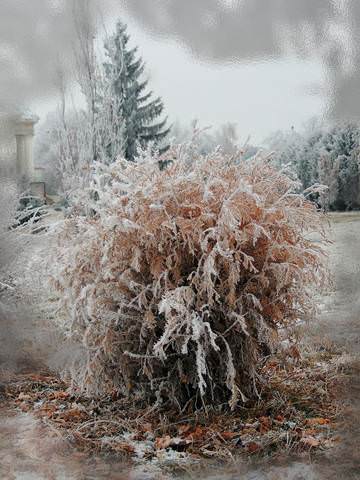 Зимние зарисовки