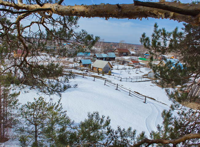 так видят белки