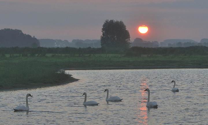 A morning at Knokke bridge