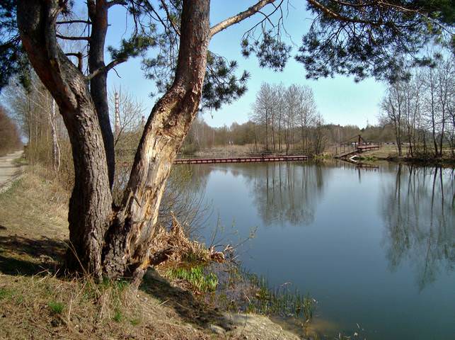 DSC06815
