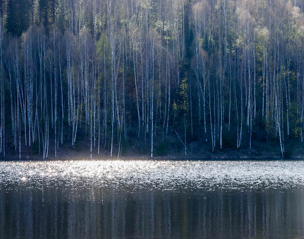 блестящая