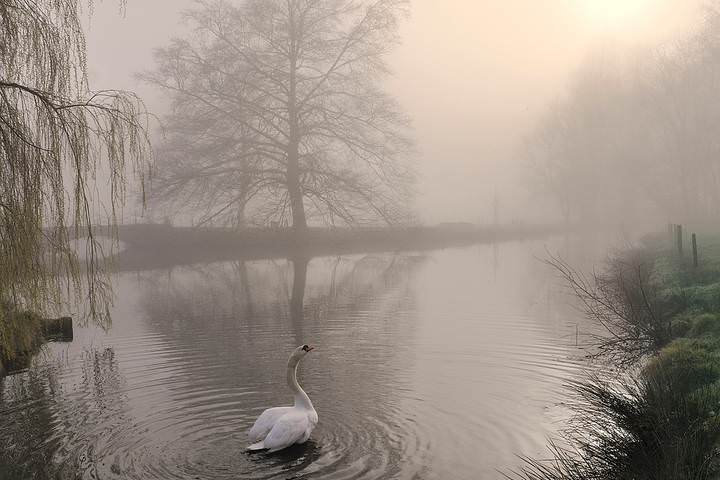 A foggy spring morning.