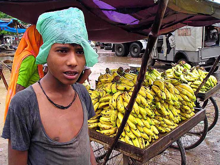 Продавец бананов 