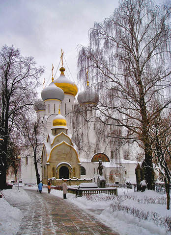 Зима в Новодевичем