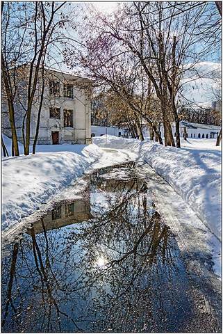Весна в луже