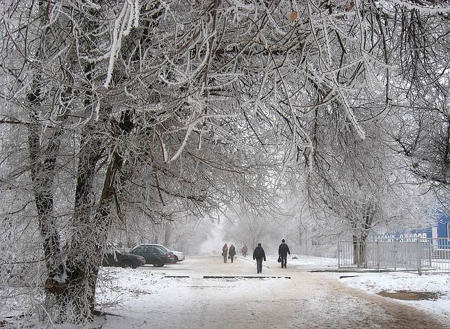 Зимний городской мотив