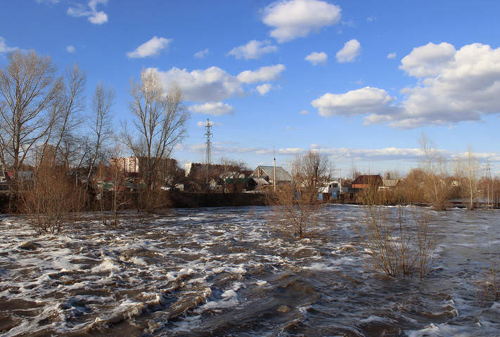 Городская лужица