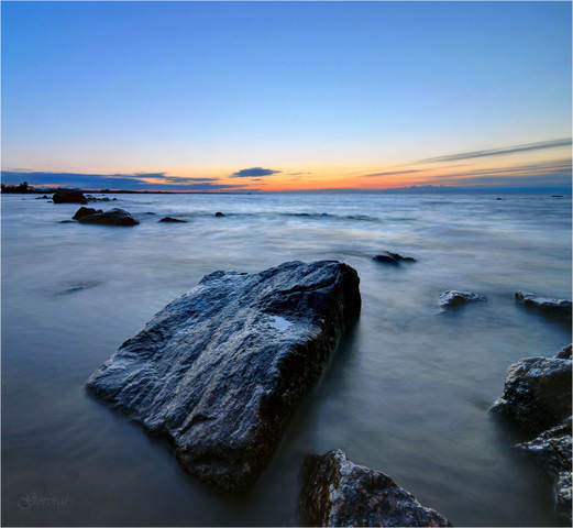 DSC_9213_copy