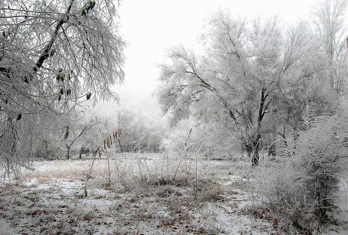 Город. Белая зима.