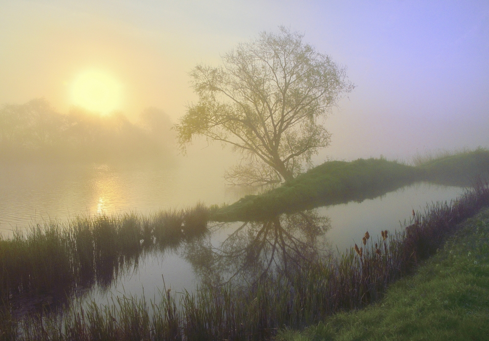 The lake of Nieuwkapelle this morning.